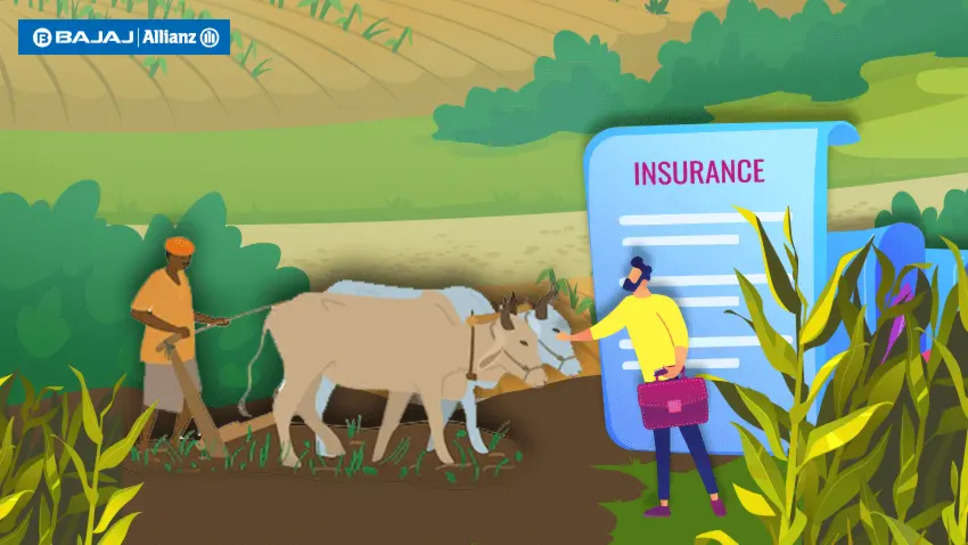 Farmers Insurance Company Goals/Plans